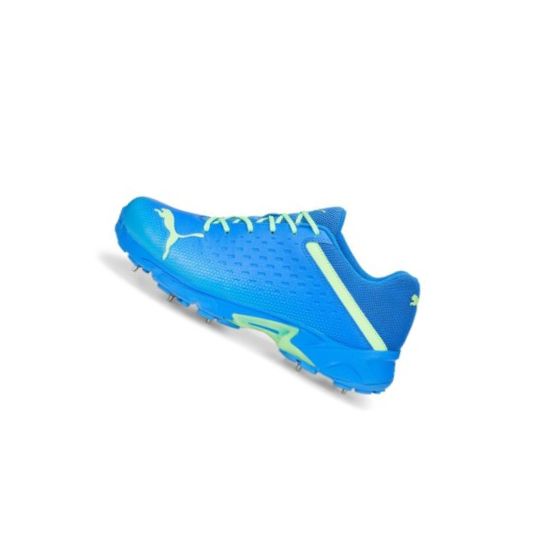 Kriketové Topánky Puma Spike 22.2 Panske Zelene | 106711-010